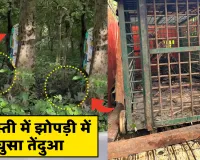 श्रावस्ती में झोपड़ी में घुसा तेंदुआ: वन विभाग ने रेस्क्यू कर सुरक्षित जंगल में छोड़ा