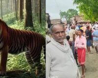  Bahraich News :  जंगल में मवेशी चराने गए ग्रामीण की बाघ के हमले में मौत, देर रात जंगल में मिला शव 