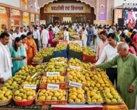 Mango Festival :  800 से ज्यादा किस्मों का लगेगा मेला, IGP में सीएम योगी करेंगे उद्घाटन  