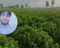 बिलाड़ी के जंगल में पेड़ से लटका मिला अस्पताल कर्मी का शव, गुरुवार से लापता था युवक
