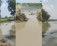 अमेठी में नहर की पटरी कटने से सैकड़ों बीघा धान की फसल जलमग्न, किसानों में हाहाकार
