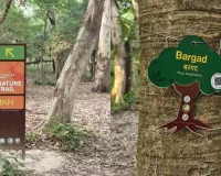  बाराबंकी  :  अंतिम चरण में ईको-टूरिज्म प्रोजेक्ट, 95% काम पूरा; पर्यटकों के लिए जल्द खुलेगा