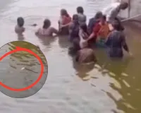 Sitapur News: दधीचि कुंड में जल निकासी ठप, हजारों मरीं मछलियों के बीच डुबकी लगाने को मजबूर श्रद्धालु