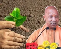 UP Green Mission:  35 करोड़ पौधों का महाअभियान, सीएम योगी खुद करेंगें मॉनिटरिंग 