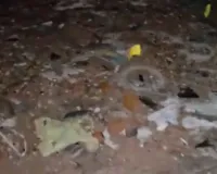 गोरखपुर में 1 लाख का इनामी बाबू एनकाउंटर में ढेर, BSP नेता की हत्या में था शामिल 