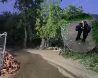 Shopian Encounter:  शोपियां के बागों में घिरे लश्कर के दो आतंकी, कैमरों से सुराग मिलने के बाद 4 गांव कराए गए खाली