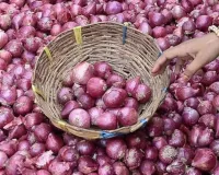  महाराष्ट्र के प्याज किसानों ने सरकार से लगाई गुहार, गिरती कीमतों से परेशान किसान बोले-शहर की तरह हमारी भी सुनिए!