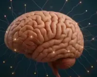 वैज्ञानिक फेक्ट :  हमारा मस्तिष्क हर सेकंड 11 मिलियन बिट्स दर्ज करता है जानकारी 