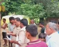 Sultanpur News: कटहल के पेड़ से लटका मिला 80 वर्षीय बुजुर्ग का शव, जांच में जुटी पुलिस 