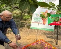 विधान परिषद सभापति कुंवर मानवेन्द्र सिंह ने किया वृक्षारोपण