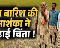 Prayagraj News:  मानसून की बेरुखी के चलते संकट में धान की रोपाई, सूखे खेतों और महंगी सिंचाई ने बढ़ाई किसानों की चिंता