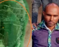  मेडिकल कॉलेज पहुंचा जहरीला सांप, इमरजेंसी वार्ड में अफरा-तफरी, युवक की मौत
