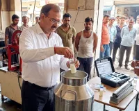 बदायूं बाजार में बिक रहा मिलावट का 'जहर': 59 में से 29 खाद्य सैंपल फेल, रोजमर्रा की चीजों में हो रहा 'खेल'