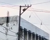 Shravasti News : खलवा बाजार में हाईटेंशन तारों से हादसे का बड़ा खतरा, बंदरों के खंभा हिलाते ही निकलती हैं चिंगारियां