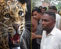 Moradabad News : चारा लेने जा रही 17 वर्षीय किशोरी पर आदमखोर तेंदुए का हमला, बाल-बाल बची जान