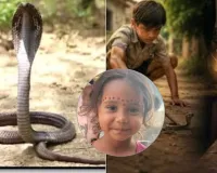 Lucknow News:  खुले में शौच के लिए गई 5 साल की बच्ची को सांप ने डसा, इलाज के दौरान मौत