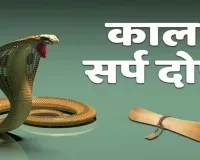 Sawan 2026 : त्र्यंबकेश्वर में क्यों कराई जाती है कालसर्प दोष शांति पूजा? जानें पूरी प्रक्रिया, नियम और धार्मिक मान्यता