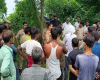 Auraiya News : घर में हुई कहासुनी, फिर अचानक लापता हुआ युवक... खेत किनारे पेड़ पर मिला शव