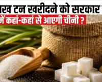  India Sugar Import: 10 साल में पहली बार विदेश से चीनी खरीदेगा भारत, जानिए क्या है वजह 