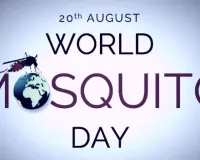 World Mosquito Day :  डेंगू से आगे निकला मलेरिया, आठ साल के आंकड़ों में 125% ज्यादा मामले
