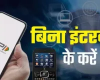अब बिना इंटरनेट के भी Payment Possible,  PhonePe के इस फीचर से करें भुगतान; ऐसे करें रजिस्टर