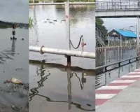 प्रयागराज में बारिश का रौद्र रूप! रामबाग स्टेशन के तीनों प्लेटफॉर्म पानी में डूबे, ट्रेनों का संचालन बंद; रिवरफ्रंट पर कार बही