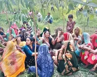 Pilibhit News : धमकियों से घबराकर युवक ने की थी आत्महत्या, लड़की के घरवालों पर एफआईआर 