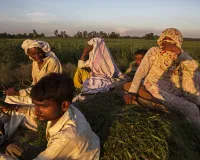 आर्थिक संरचना में सबसे नीचे खड़ा है मजदूर-किसान