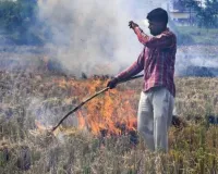 पराली जलने को लेकर CM योगी सख्त, NCR में बढ़ते वायु प्रदूषण के बीच अधिकारियों को निर्देश; एक भी घटना सामने आने पर होगा एक्शन 