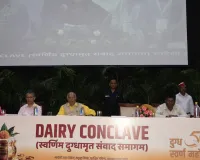 Bareilly News : बरेली, मुरादाबाद और लखनऊ मंडल बनेंगे डेयरी हब, इन क्षेत्रों में क्या है सरकार का प्लान-जानिए 