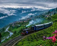 दार्जिलिंग: बादलों की फुहार, टॉय ट्रेन की छुक-छुक और गोरखालैंड की पुरानी आस, हर मोड़ पर अलग कहानी