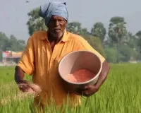 Bareilly News :  नैनो नहीं, पारंपरिक खाद पर किसानों का भरोसा, रुहेलखंड विश्वविद्यालय के शोध में सामने आई वजह