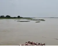 Badaun News : कछला गंगा में खतरे के निशान से ऊपर बह रहा पानी, तटवर्ती इलाकों में अलर्ट 