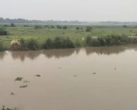 RaeBareli news :  उफान पर गंगा, खतरे से 21 सेंमी ऊपर जलस्तर; धान की फसलें जलमग्न