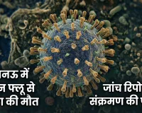 लखनऊ में स्वाइन फ्लू से महिला की मौत:  बलरामपुर में चल रहा था इलाज