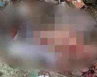 Kanpur News: डस्टबिन में मिला नवजात का शव, इलाके में हड़कंप; CCTV से सुराग तलाश रही पुलिस