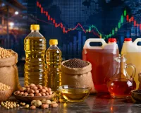 Edible Oil Price: सोयाबीन-पामोलीन के दाम टूटे, सरसों-बिनौला मजबूत; जानिए सप्ताहभर में किस तेल का कितना बदला भाव