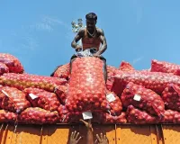 Onion Price : चीनी के बाद अब प्याज ने रुलाया! करीब 59% उछले दाम, सरकार की ‘कांदा एक्सप्रेस’ से कीमतों पर लगेगी लगाम