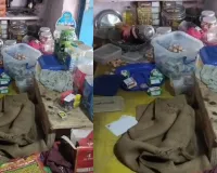 Raebareli News: दीवार के सहारे दुकान में घुसे चोर, नकदी समेत हजारों का माल किया पार