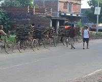 Shravasti News : जलौनी के नाम पर जंगल में चल रही कुल्हाड़ी, प्रतिबंधित पेड़ काट कर बेंच रहे लकड़हारे