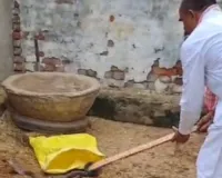 हवेली में घुसा खतरनाक कोबरा, भाजपा नेता ने दिखाई हिम्मत; बोरी में पकड़कर वन विभाग को सौंपा