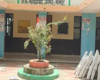 Sitapur News : तिरंगे के सम्मान से खिलवाड़! गुलाब के पौधे में बांधकर फहराया राष्ट्रीय ध्वज, वीडियो वायरल होने पर जागे अफसर