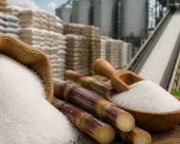 Sultanpur Sugar Price : चीनी के दाम बढ़े तो प्रशासन का अलर्ट, जानिए क्या बोले जिला गन्ना अधिकारी  