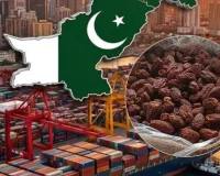 'UAE लेबल, पाकिस्तानी माल', कांडला पोर्ट पर पकड़ा गया 3 करोड़ का छुहारा 