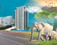 हाथियों के रास्ते पर न खड़ी हों विकास की दीवारें