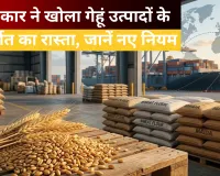 Wheat Export: आटा-मैदा-सूजी के निर्यात से हटा प्रतिबंध, सरकार ने बदले नियम