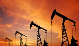 तेल, पेट्रोल व गैसोलीन :  ईंधन में कैसे परिवर्तित होता है कच्चा तेल