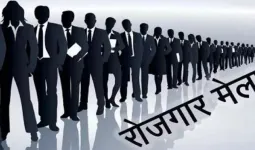 सिर्फ डिग्री से नहीं मिलेगी नौकरी! काउंसलिंग सत्र में छात्रों को बताया गया करियर का नया फॉर्मूला, स्किल डेवलपमेंट पर जोर