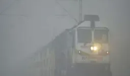 बाराबंकी : बढ़ा कोहरे का कहर, कड़ाके की सर्दी का आगाज