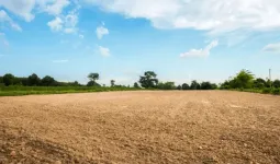 UP में भूमि विवादों का जल्द होगा निपटारा, तीन सदस्यीय विशेष पीठ करेगी मामलों की सुनवाई